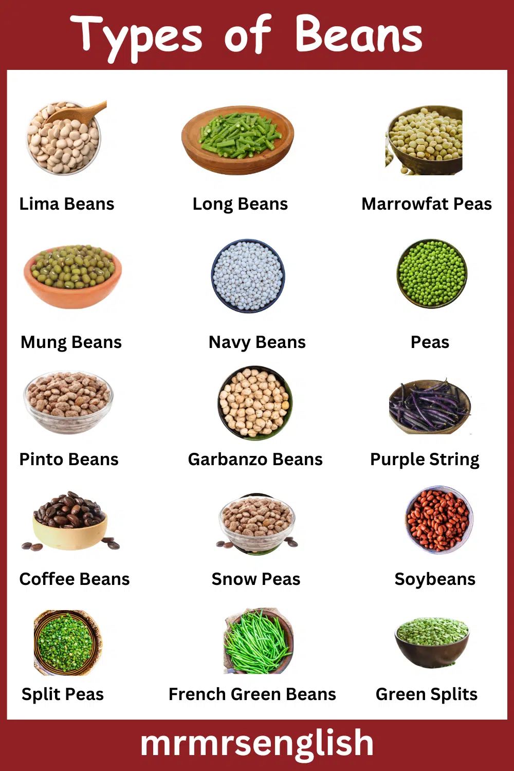 Different Types of beans Names in English and images