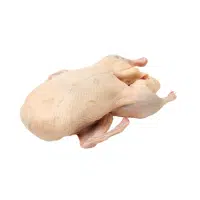 Types of Meat| Goose meat type