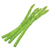 Green Vegetables Names |Asparagus in English