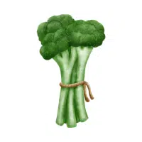 Green Vegetables Names |Broccoli in English