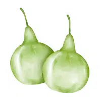 Green Vegetables Names |Calabash in English