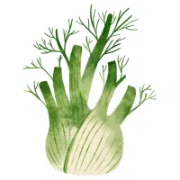 Green Vegetables Names |Fennel in English