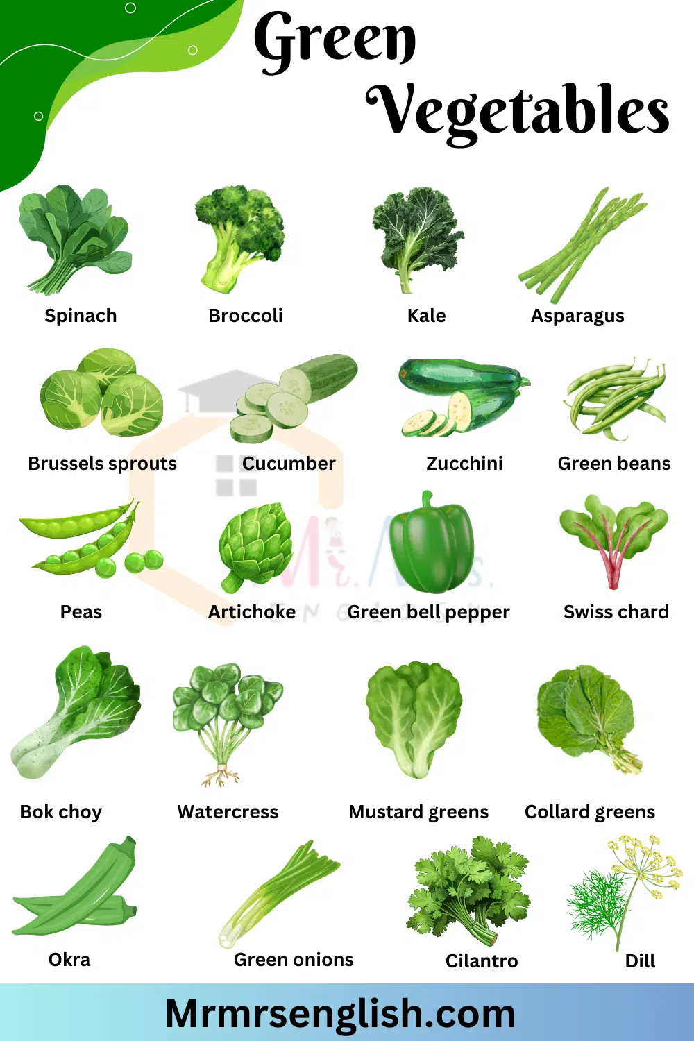 Green Vegetables Names in English