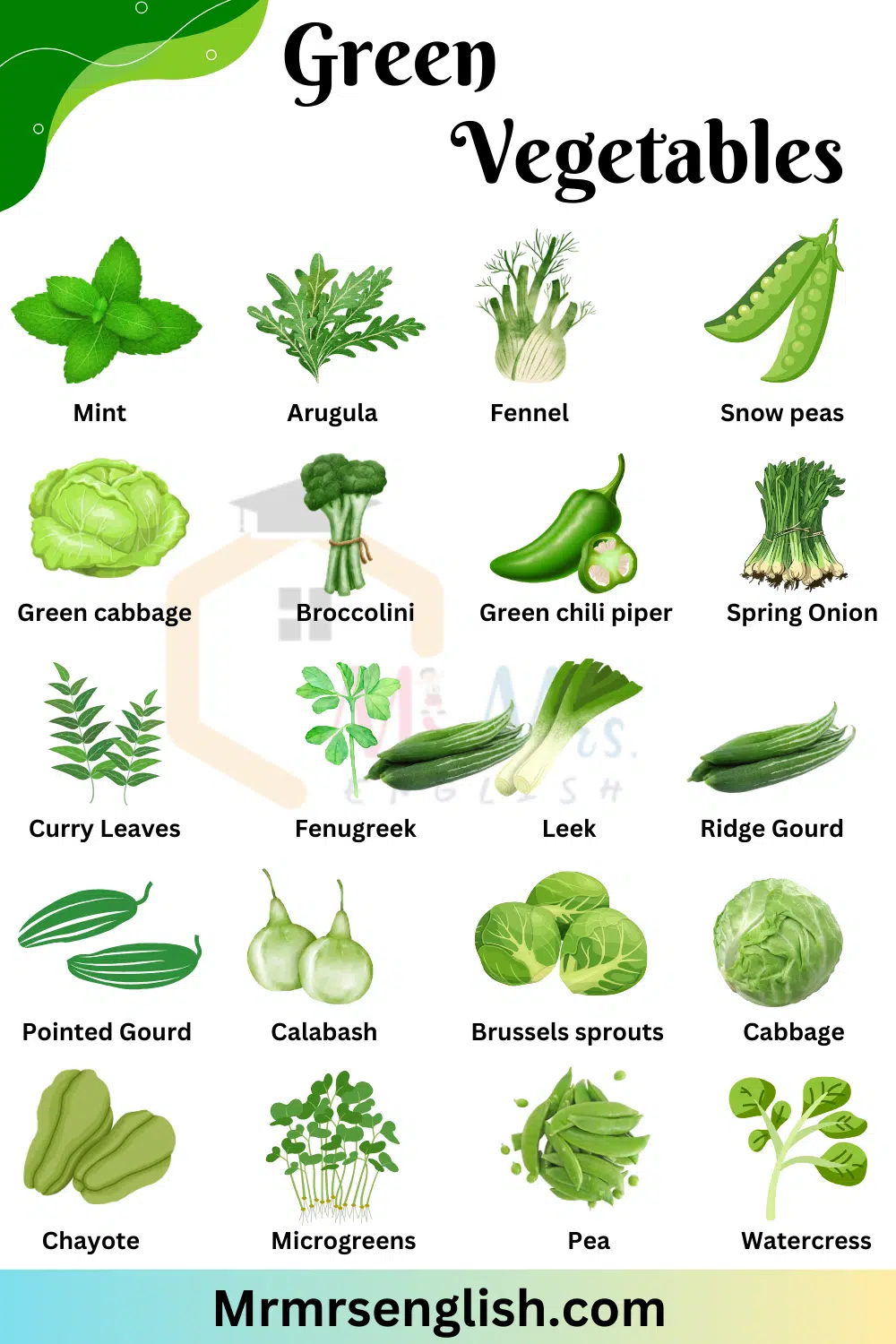 Green Vegetables Names in English