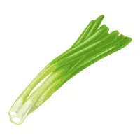 Green Onions in English
