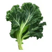 Green Vegetables Names |Kale in English