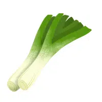 Green Vegetables Names |Leek in English