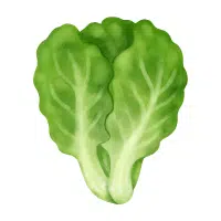 Mustard Greens in English