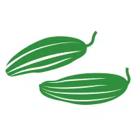 Pointed Gourd in English
