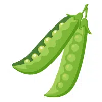 Peas in English