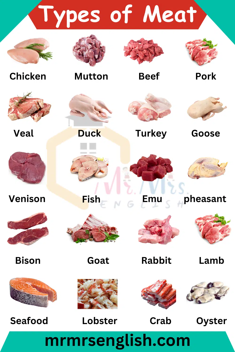 Different Types of Meat Names in English and Their Pictures