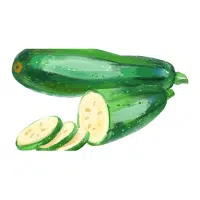 Zucchini in English