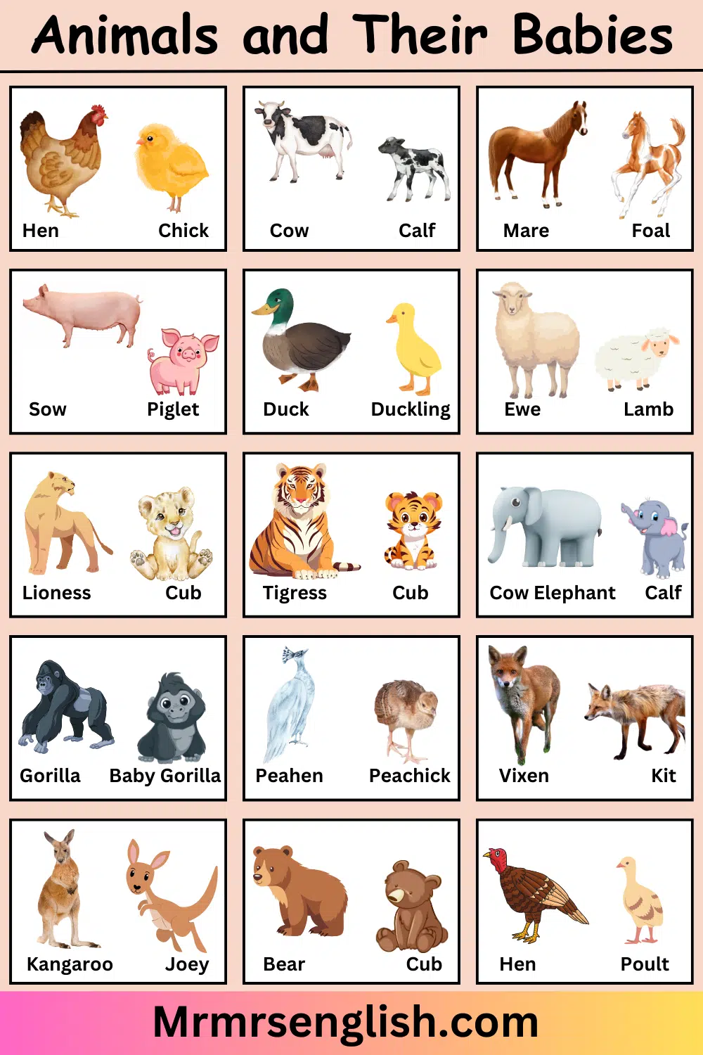 Animals and Their Babies Names in English