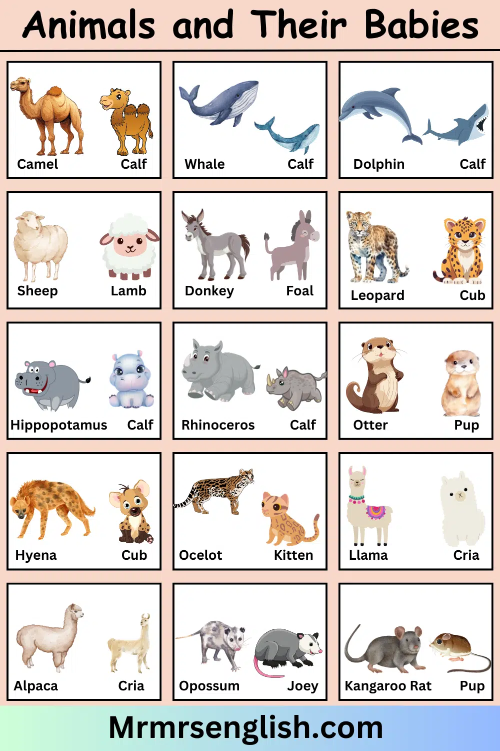 Animals and Their Babies Names in English