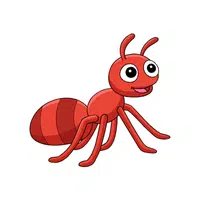 Ant | Insects Names in English