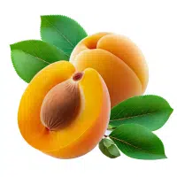 Yellow Fruits Names |Apricot in English
