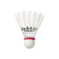 Badminton Shuttlecock Type Of Sports Ball Name in English