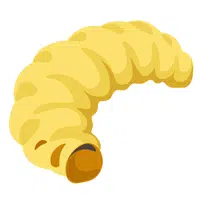 Animals Babies Names and Their Homes Names |Bee Larva in English