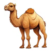 Camel in English