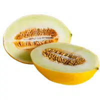 Yellow Fruits Names |Canary Melon in English