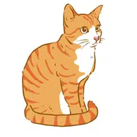 Cat in English
