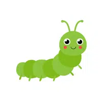 Caterpillar | Insects Names in English