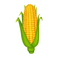 Yellow Fruits Names |Corn in English