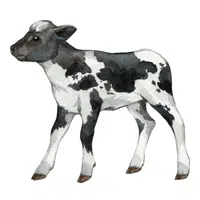 Animals Babies Names and Their Homes Names |calf in English