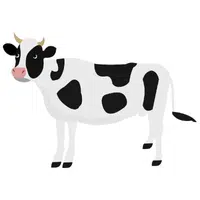 Animals Babies Names and Their Homes Names |Cow in English