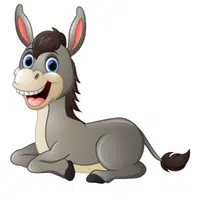 Animals Babies Names and Their Homes Names |Donkey foal in English