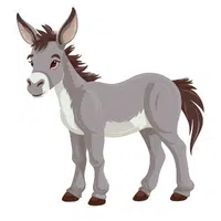 Animals Babies Names and Their Homes Names |Donkey in English