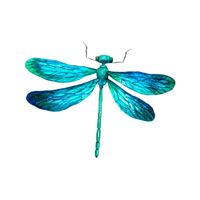 Dragonfly | Insects Names in English