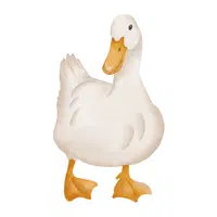 Farm Animals Names | Duck in English