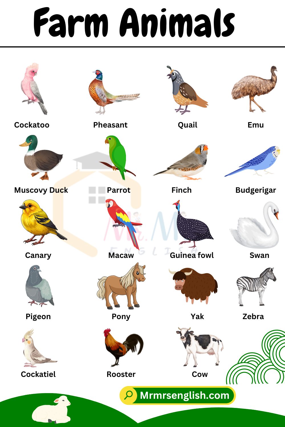 Farm Animals Names in English