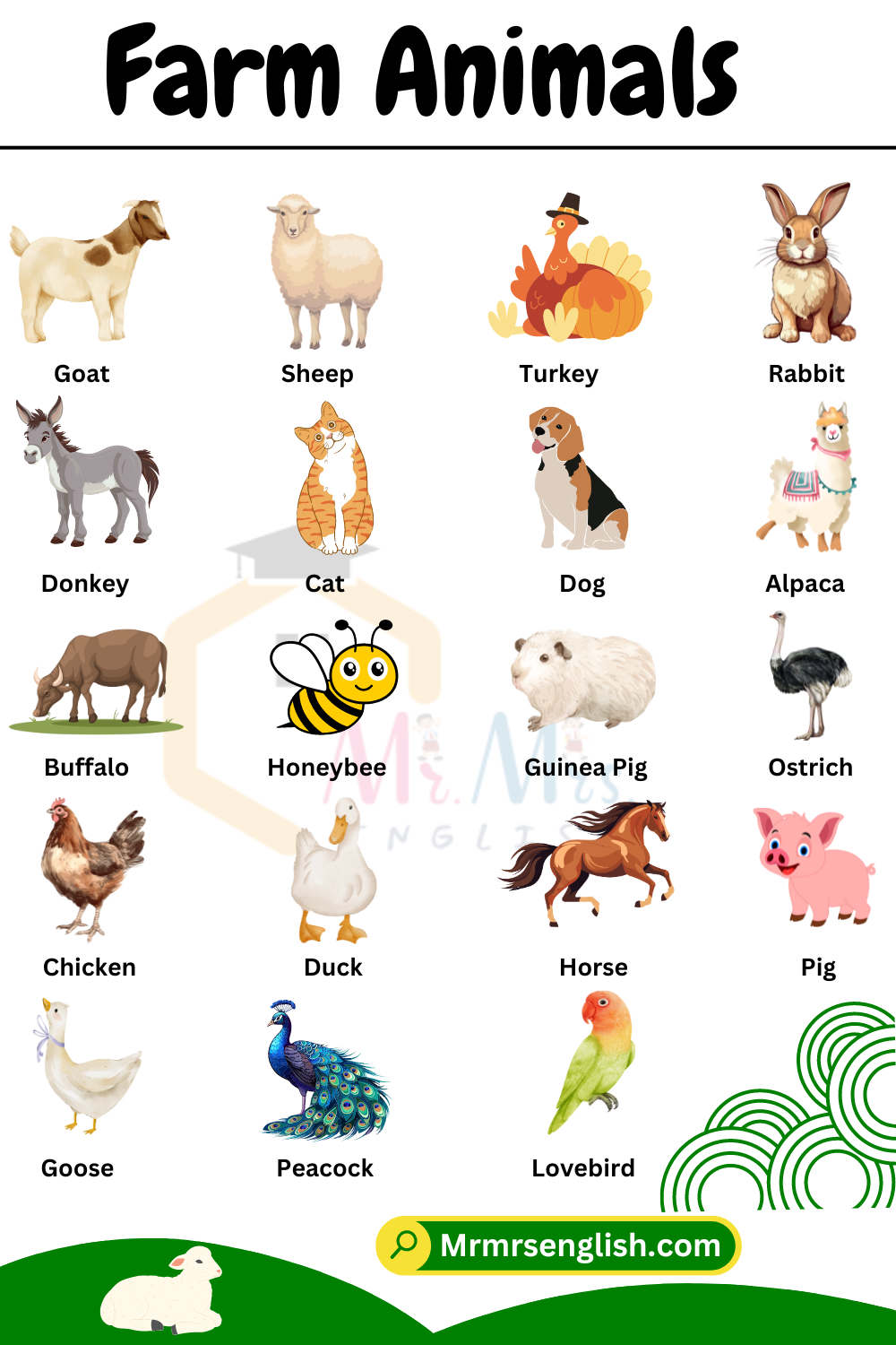 Farm Animals Names in English