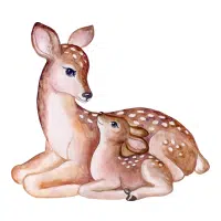 Female Deer _ Fawn in English