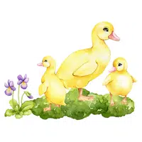 Animals and Their Babies Names |Duck in English