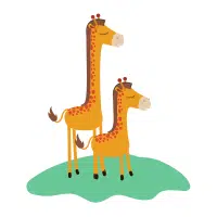 Female Giraffe _ Calf in English