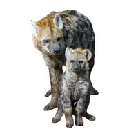 Female Hyena _ Cub in English