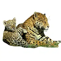 Animals and Their Babies Names | Female Jaguar _ Cub in English