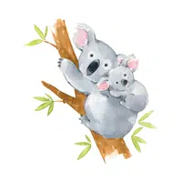 Female Koala _ Joey in English