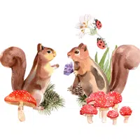 Animals and Their Babies Names |Female Squirrel _ Kitten in English