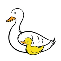 Female Swan _ Cygnet in English