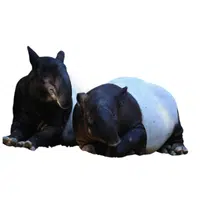 Animals and Their Babies Names |Female Tapir _ Calf in English