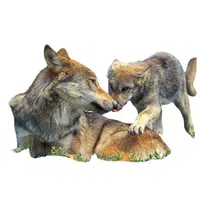 Animals and Their Babies Names |Female Wolf _ Pup in English