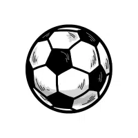 Futsal Ball | Types Of Sports Balls Names in English