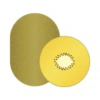 Yellow Fruits Names |Golden Kiwi in English