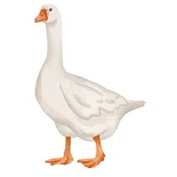 Goose in English