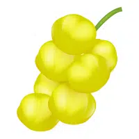 Yellow Fruits Names |Gooseberries in English