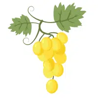 Grapes in English